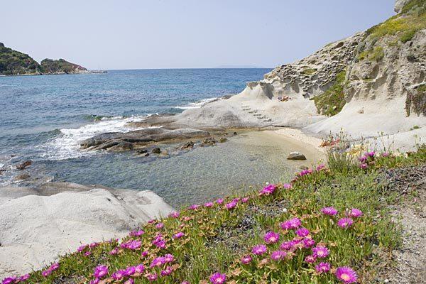 B & B Summer Marciana  Eksteriør bilde